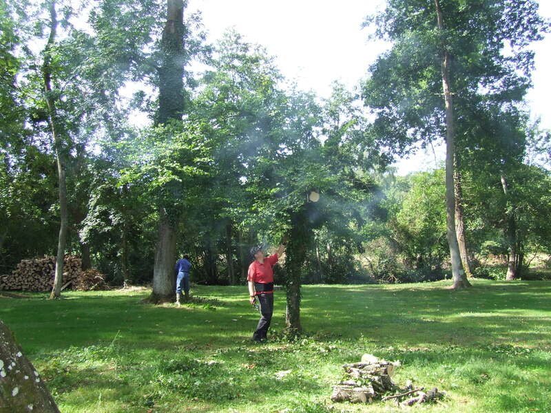 
								    Souvenir 2020 - dscf5625.jpg