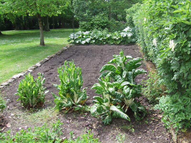 
								    Souvenir 2020 - dscf5602.jpg