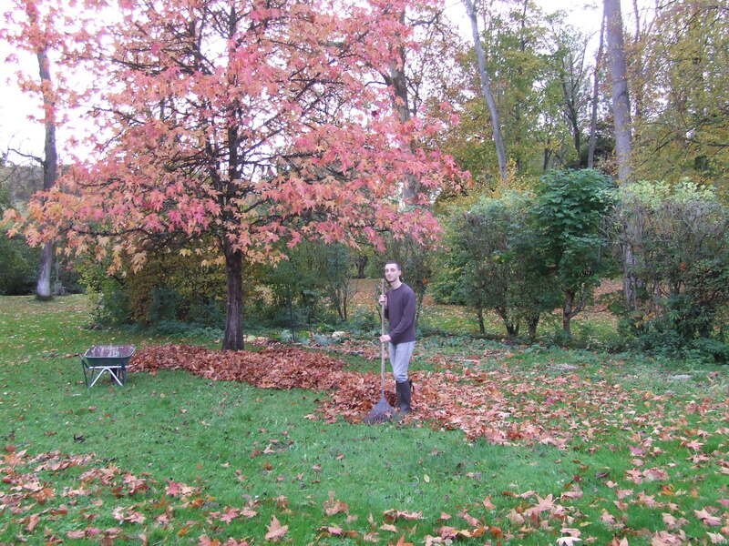  Ratissage des feuilles en automne — 2025
								   