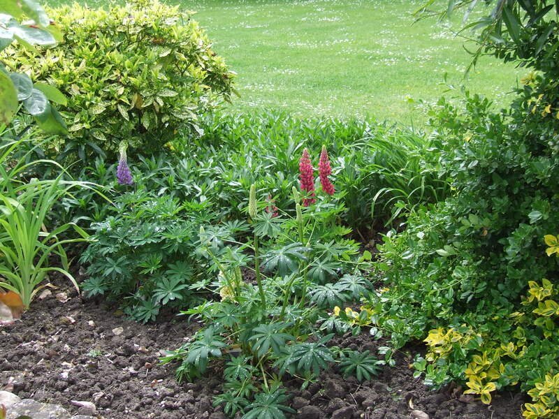 
								    Souvenir 2020 - dscf5613.jpg