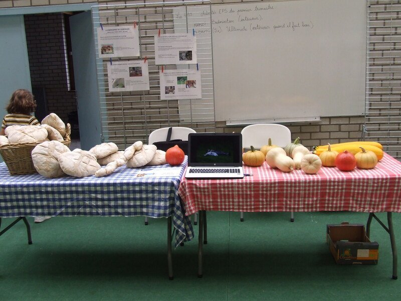 
								    Souvenir 2020 - dscf5641.jpg