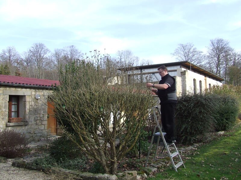 
								    Souvenir 2021 - dscf5697.jpg